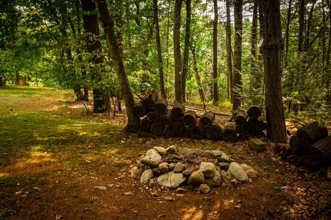 Hikers Haven, A Cozy Cabin Loft Above Bashakill Wildlife Refuge Wurtsboro Exterior foto